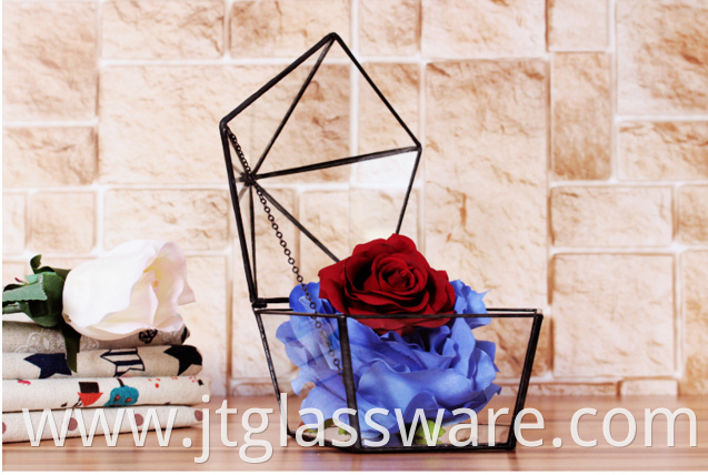 Home Decoration Geometric Glass Terrarium Wholesale